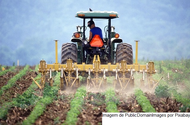 Índice de Preços ao Produtor (IPP) é de 0,61% em agosto