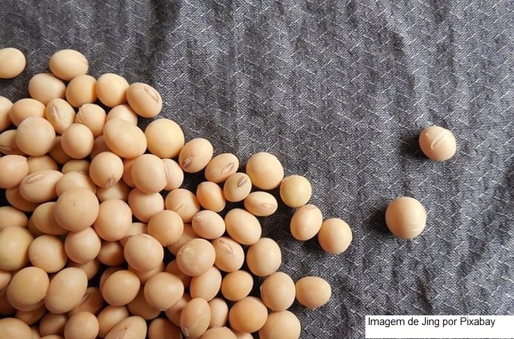 USDA traz embarques semanais de soja fortes e acima do esperado, mesmo com logística ainda comprometida