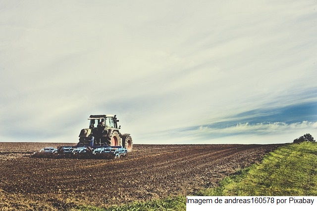 Goiás fecha 2024 com recordes no agronegócio e consolida posição de destaque nacional e internacional