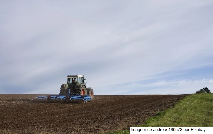 Em Dubai, ministra destaca oportunidades de investimentos na agropecuária brasileira