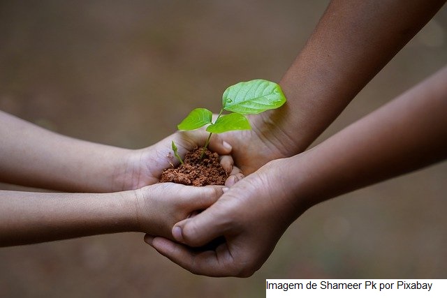 Banco do Brasil lança solução de crédito para preservação ambiental no campo