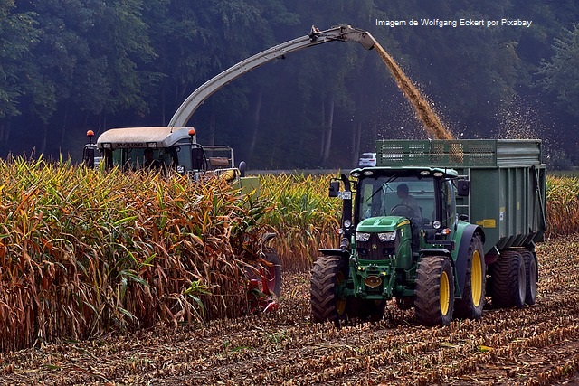 Banco do Brasil e Brics vão injetar R$ 1,5 bilhão no agro