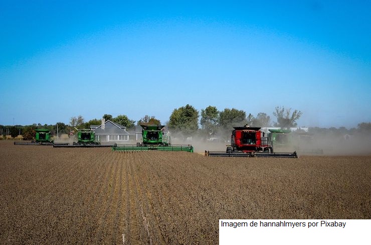 MT deverá ter a pior produtividade de soja em 15 anos, aponta empresa canadense