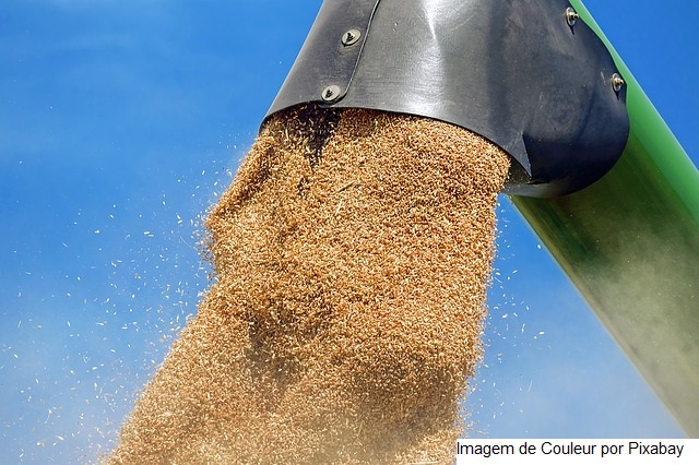 Inovação e tecnologia para o agro permeiam debate para o desenvolvimento dos sistemas alimentares nas Américas, no Caribe e na África